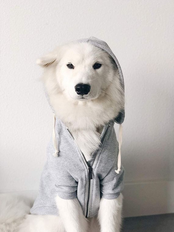 Ellie Zip Hoodie