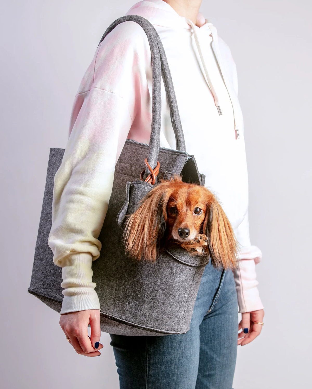Nooee Pet Carrier