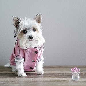 Zip Up Dog Raincoat