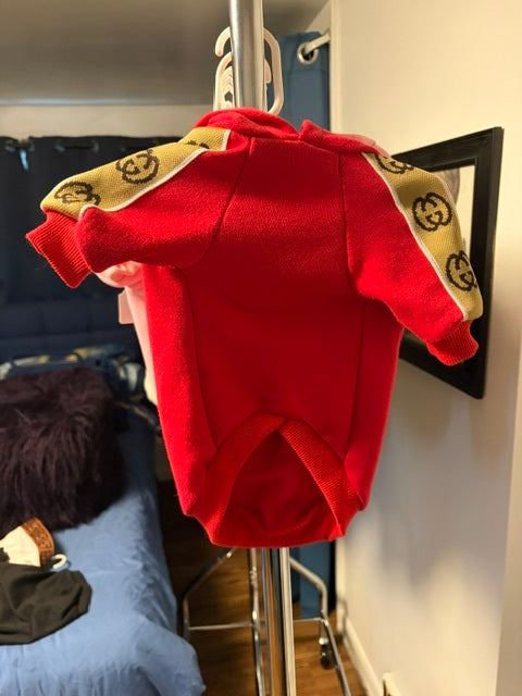 Gucci-like Hoodie