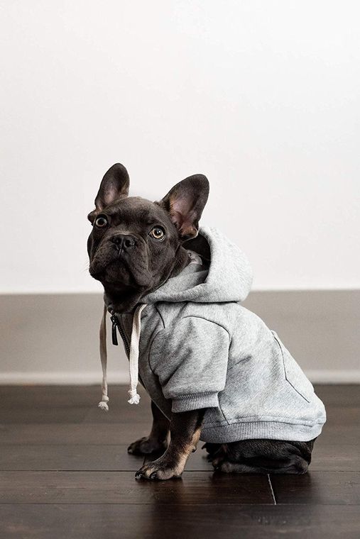 Ellie Zip Hoodie