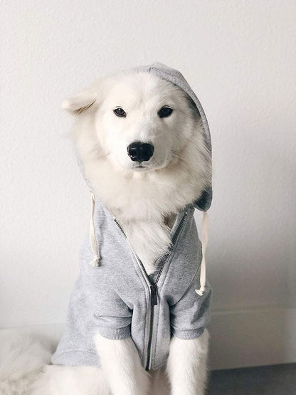 Ellie Zip Hoodie
